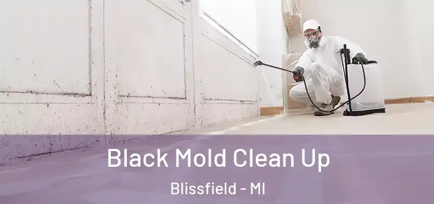  Black Mold Clean Up Blissfield - MI