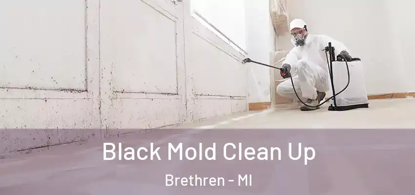  Black Mold Clean Up Brethren - MI