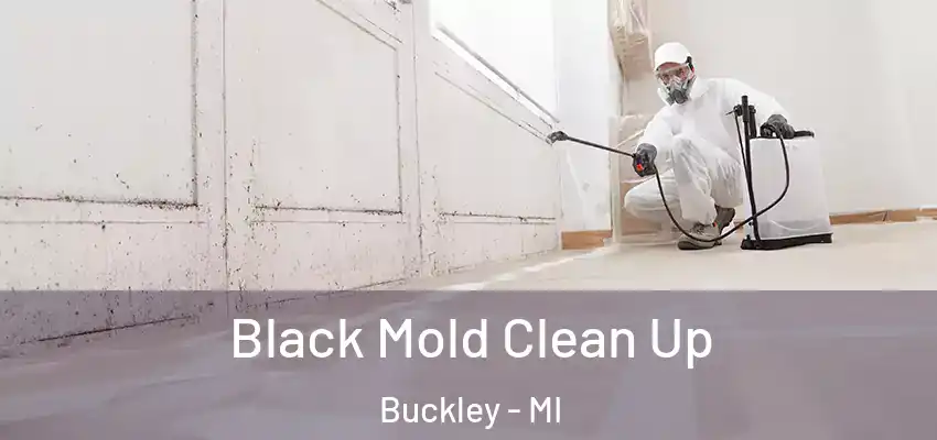 Black Mold Clean Up Buckley - MI