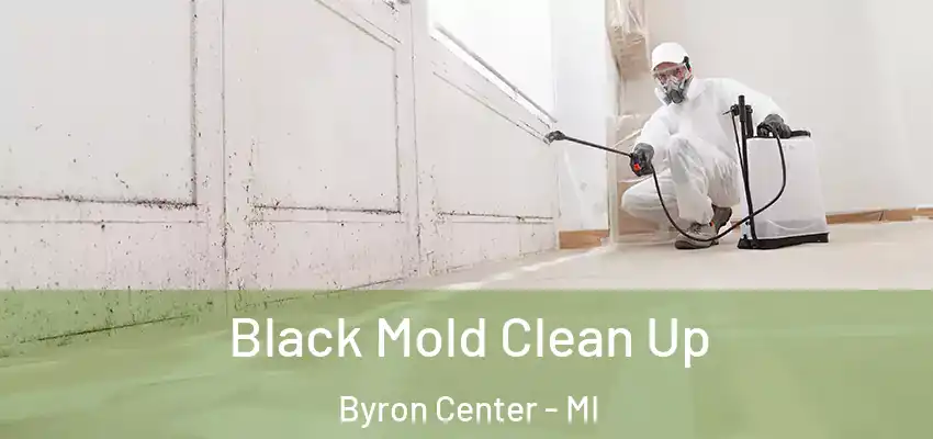  Black Mold Clean Up Byron Center - MI
