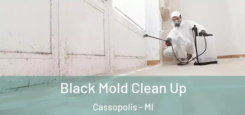  Black Mold Clean Up Cassopolis - MI