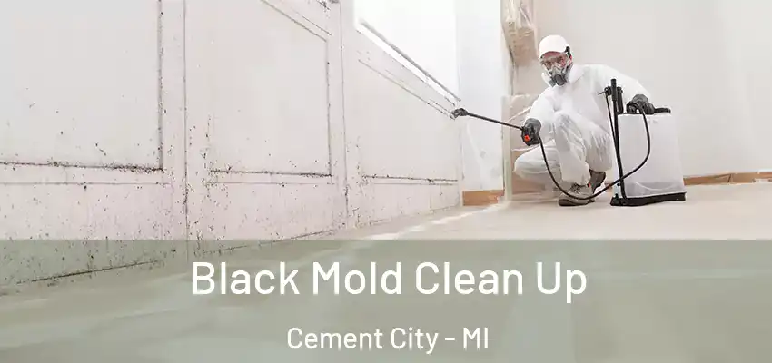  Black Mold Clean Up Cement City - MI