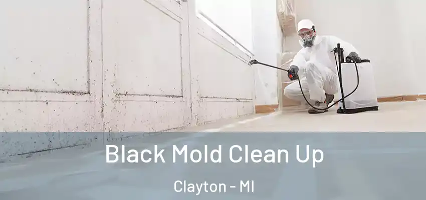  Black Mold Clean Up Clayton - MI