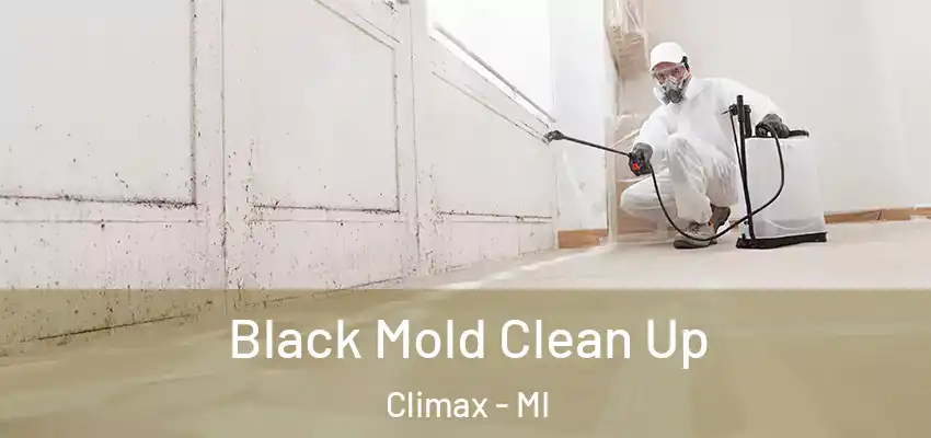  Black Mold Clean Up Climax - MI
