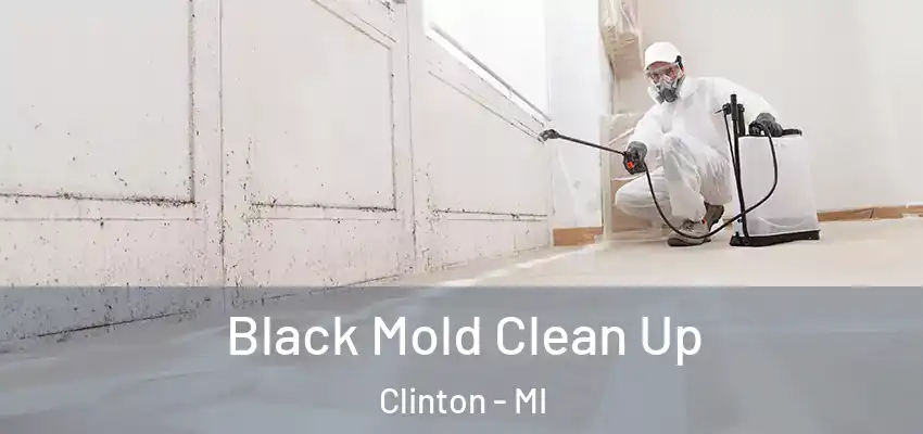  Black Mold Clean Up Clinton - MI