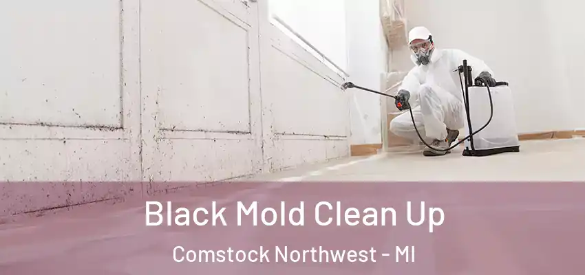  Black Mold Clean Up Comstock Northwest - MI