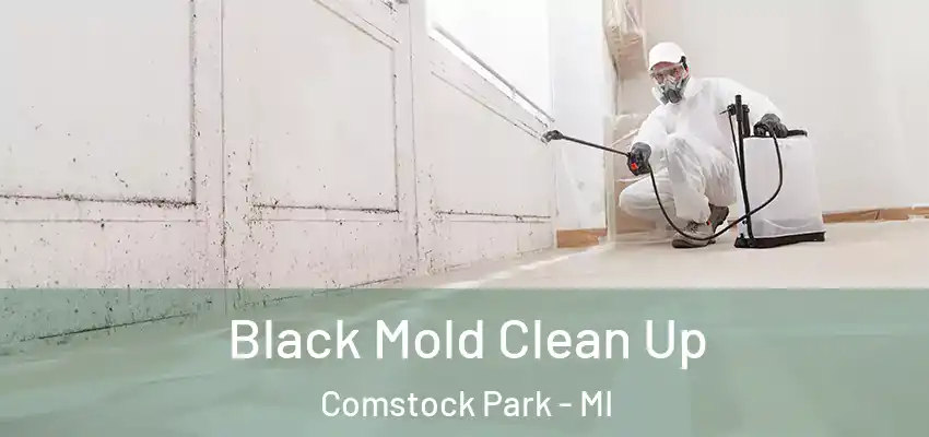  Black Mold Clean Up Comstock Park - MI