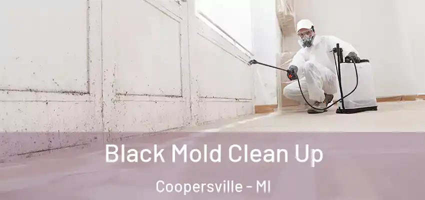  Black Mold Clean Up Coopersville - MI