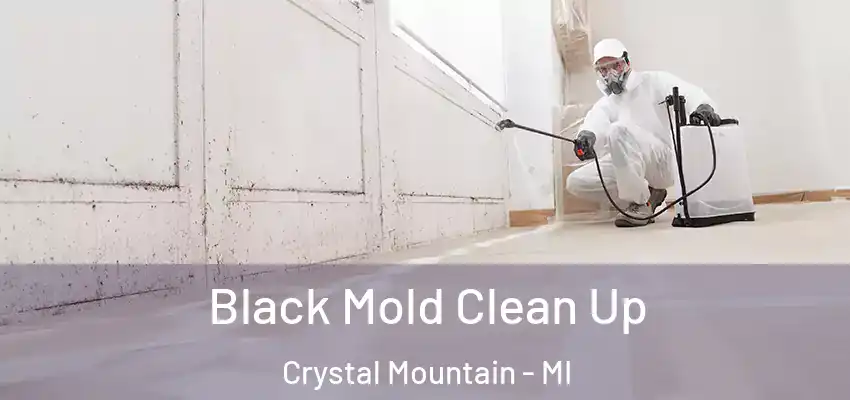  Black Mold Clean Up Crystal Mountain - MI
