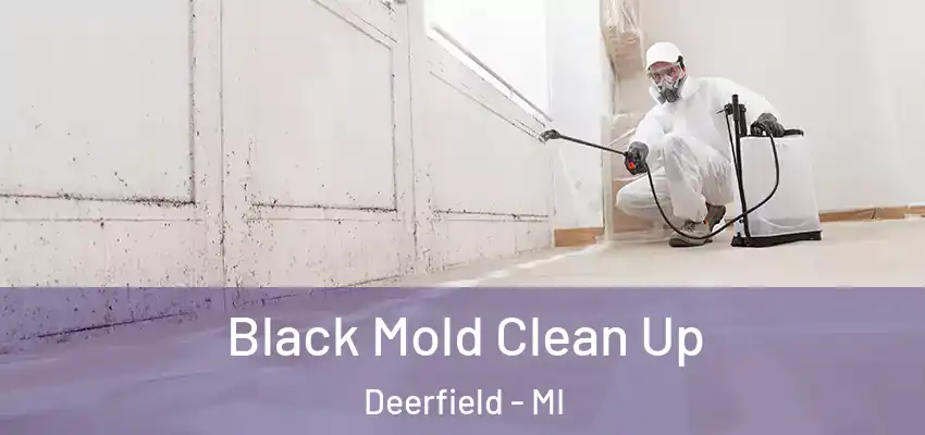  Black Mold Clean Up Deerfield - MI