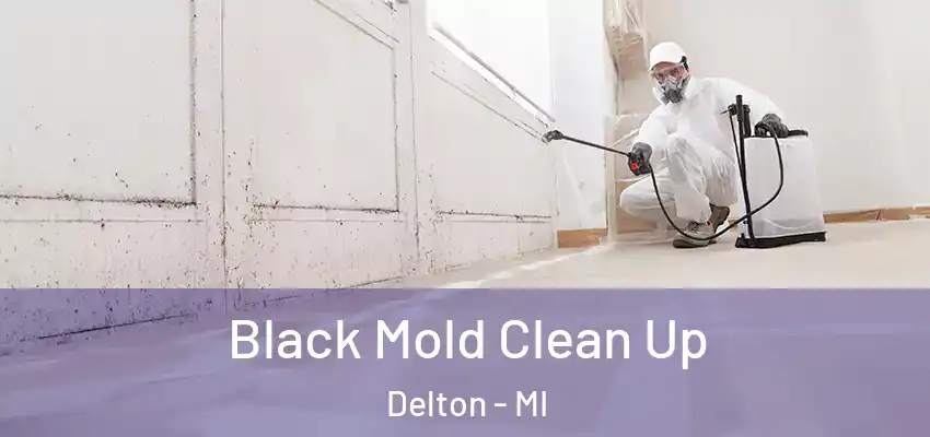  Black Mold Clean Up Delton - MI