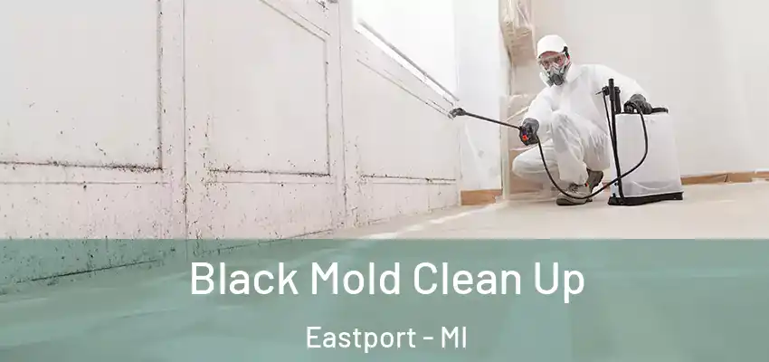 Black Mold Clean Up Eastport - MI