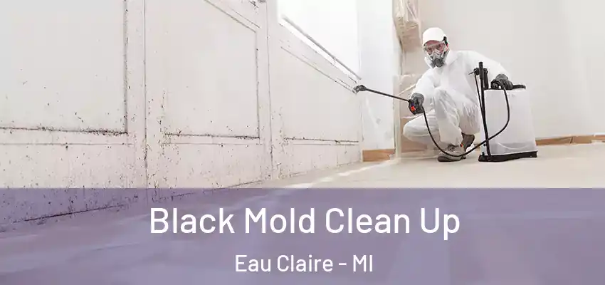  Black Mold Clean Up Eau Claire - MI