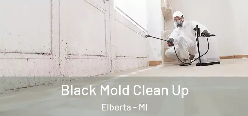 Black Mold Clean Up Elberta - MI