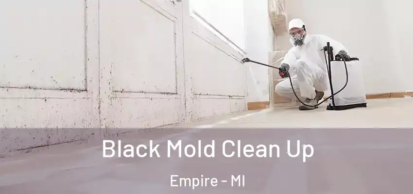  Black Mold Clean Up Empire - MI