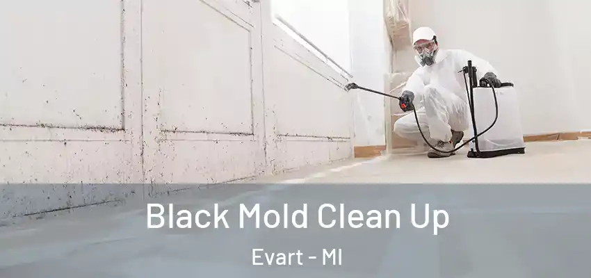  Black Mold Clean Up Evart - MI