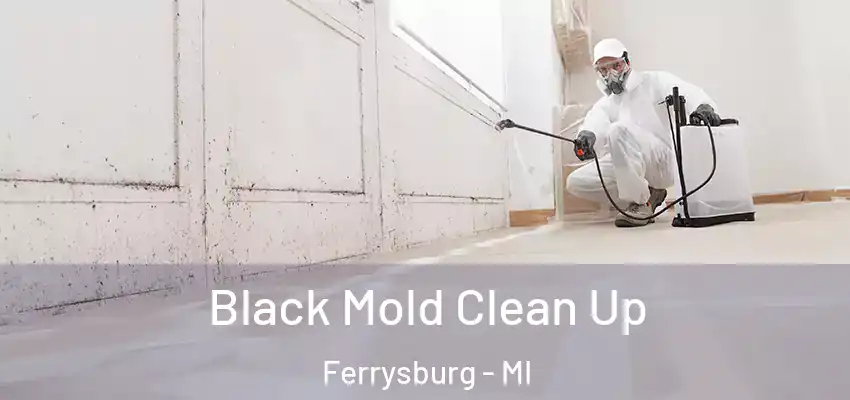  Black Mold Clean Up Ferrysburg - MI