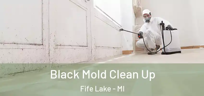 Black Mold Clean Up Fife Lake - MI