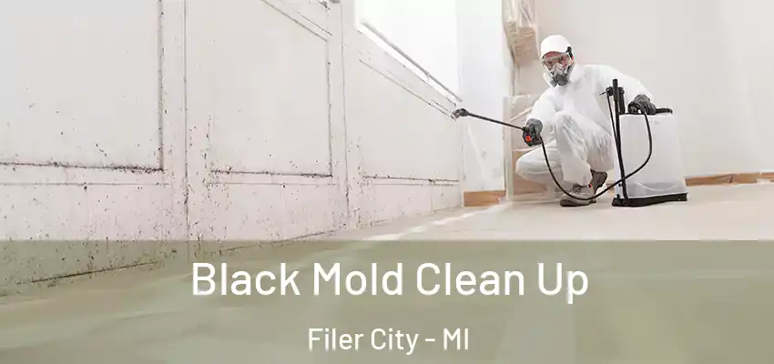 Black Mold Clean Up Filer City - MI