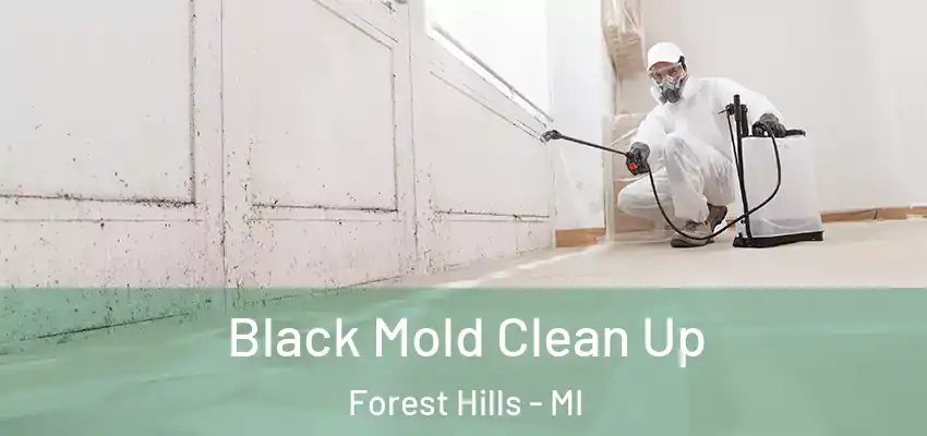  Black Mold Clean Up Forest Hills - MI