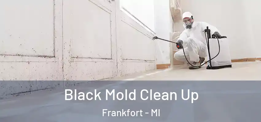  Black Mold Clean Up Frankfort - MI