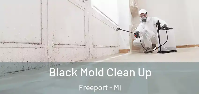  Black Mold Clean Up Freeport - MI