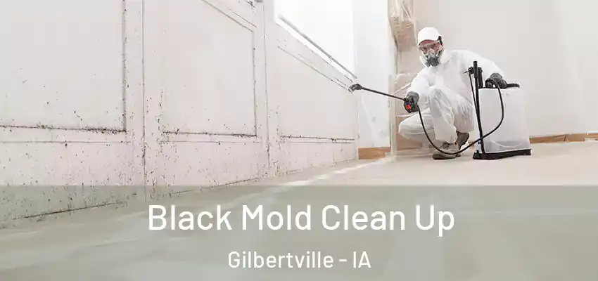  Black Mold Clean Up Gilbertville - IA
