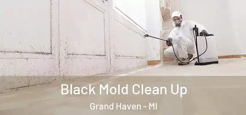 Black Mold Clean Up Grand Haven - MI