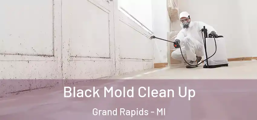  Black Mold Clean Up Grand Rapids - MI