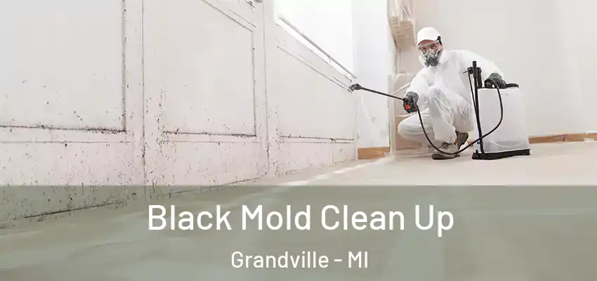 Black Mold Clean Up Grandville - MI