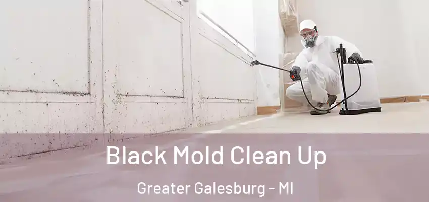  Black Mold Clean Up Greater Galesburg - MI