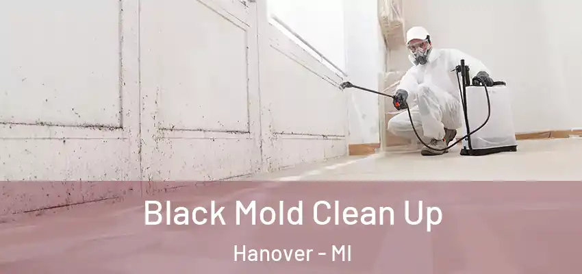  Black Mold Clean Up Hanover - MI