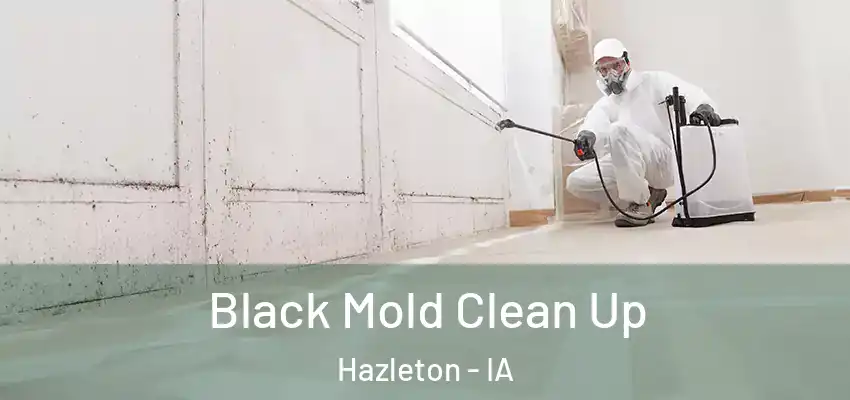  Black Mold Clean Up Hazleton - IA