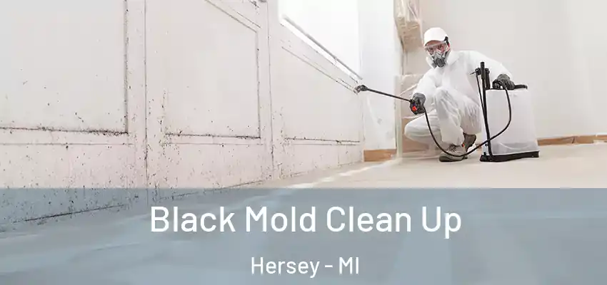  Black Mold Clean Up Hersey - MI