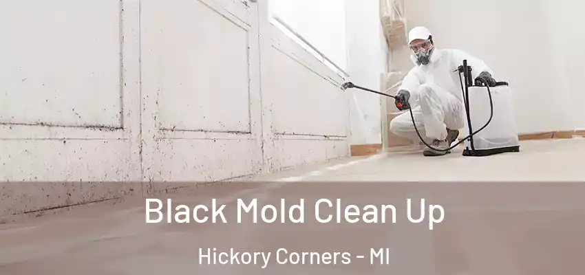  Black Mold Clean Up Hickory Corners - MI