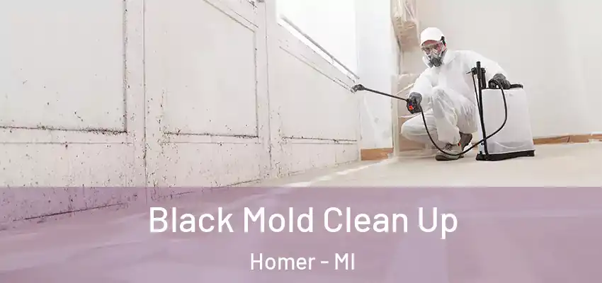  Black Mold Clean Up Homer - MI