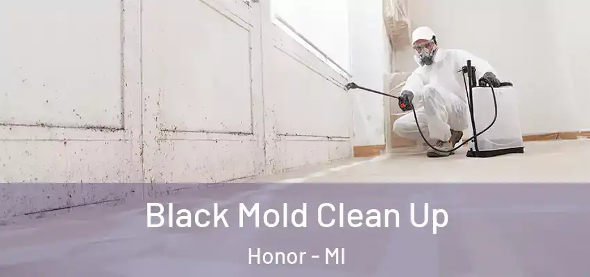 Black Mold Clean Up Honor - MI