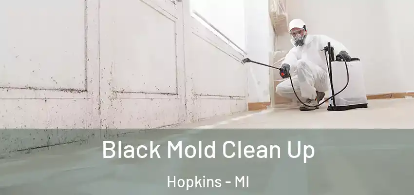  Black Mold Clean Up Hopkins - MI