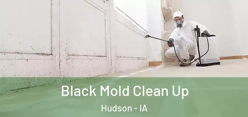 Black Mold Clean Up Hudson - IA