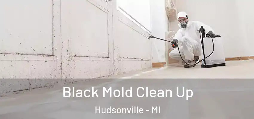  Black Mold Clean Up Hudsonville - MI