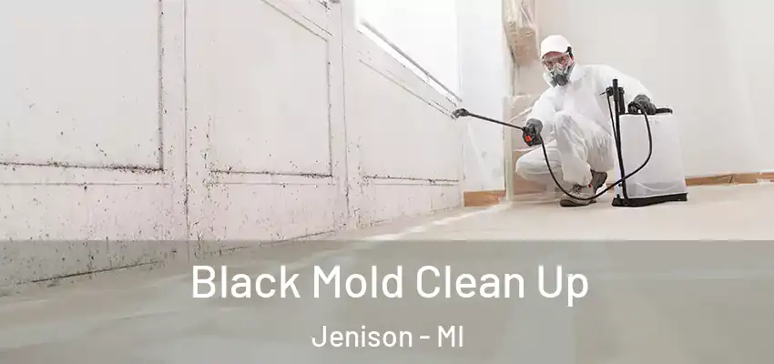 Black Mold Clean Up Jenison - MI