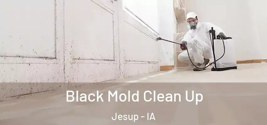  Black Mold Clean Up Jesup - IA