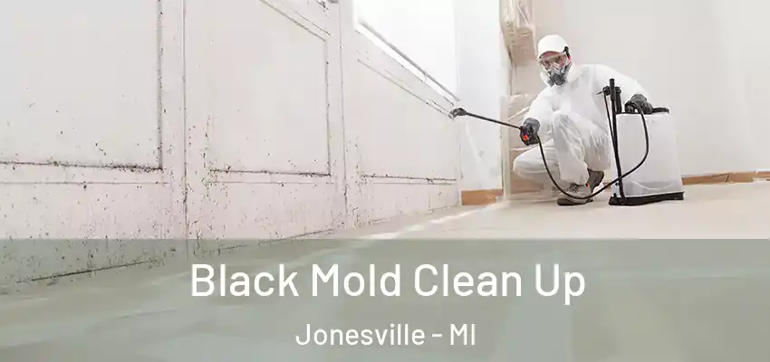 Black Mold Clean Up Jonesville - MI