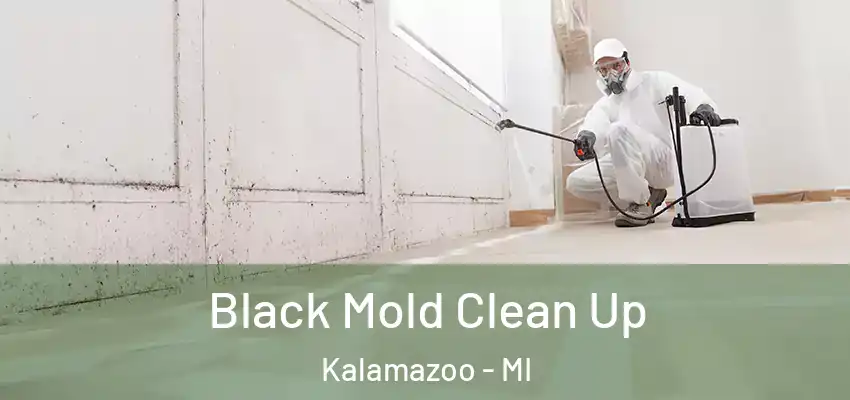  Black Mold Clean Up Kalamazoo - MI