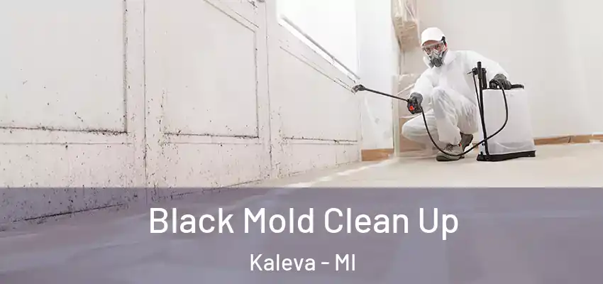  Black Mold Clean Up Kaleva - MI