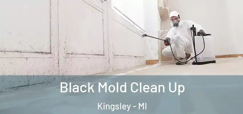  Black Mold Clean Up Kingsley - MI