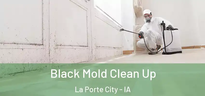  Black Mold Clean Up La Porte City - IA
