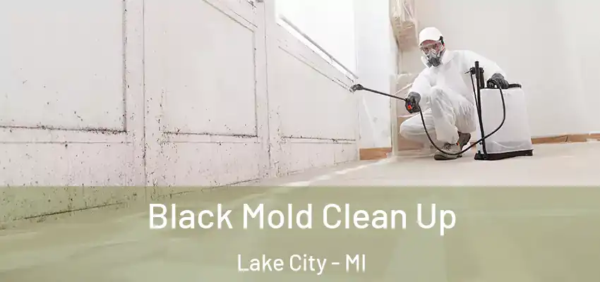  Black Mold Clean Up Lake City - MI