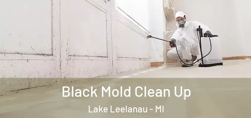 Black Mold Clean Up Lake Leelanau - MI