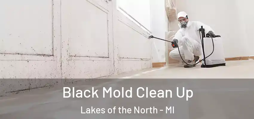  Black Mold Clean Up Lakes of the North - MI